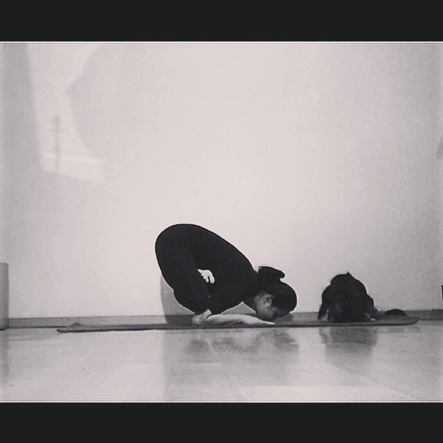 How to practice baby crow 🐦‍⬛ … Vareikayoga.com … #yogaeverywhere #yo... |  TikTok